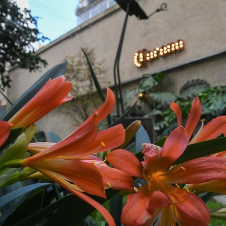 Casa Franca Recoleta Hostel Boutique Buenos Aires Eksteriør bilde