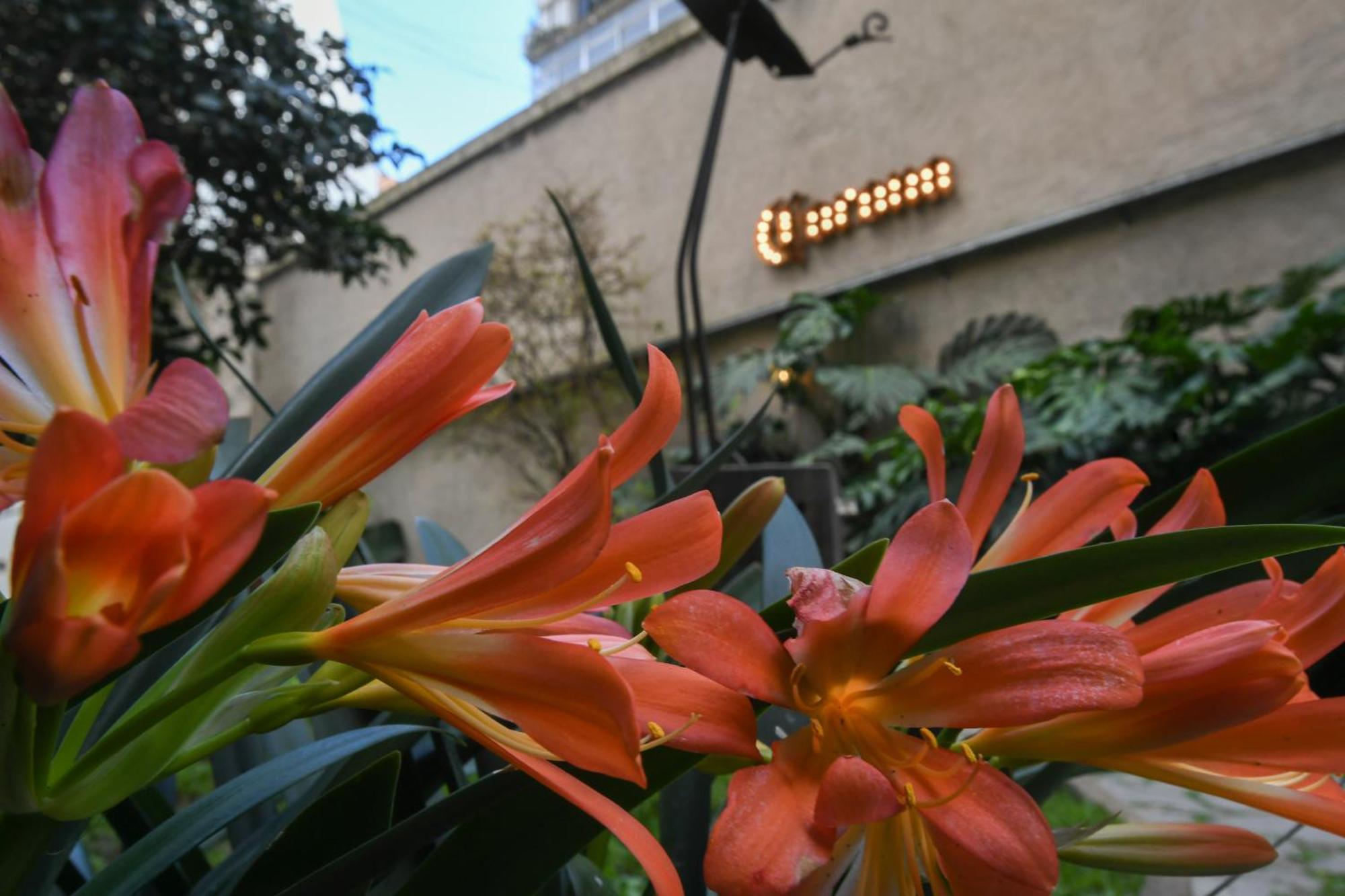 Casa Franca Recoleta Hostel Boutique Buenos Aires Eksteriør bilde
